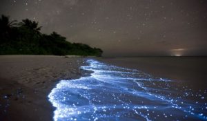 lago bioluminescente02