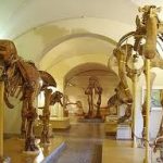 museo firrenze