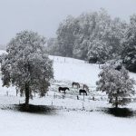 GERMANY-WEATHER