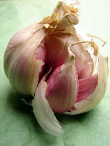 AGLIO TUMORE - Copia