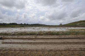 Alluvione 6