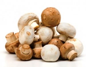 funghi