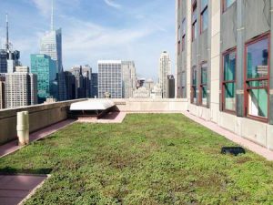 GIARDINO EMPIRE STATE - Copia