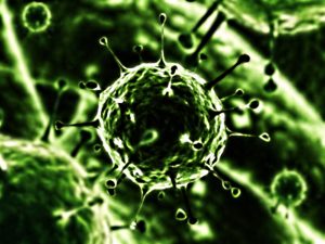 VIRUS PARAINFLUENZA OK 1 - Copia