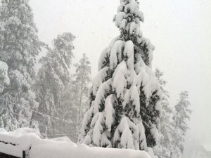 blizzard1