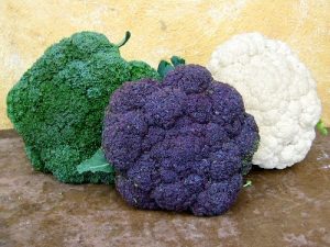 BROCCOLI E CAVOLI 10 - Copia