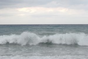 DSCF2596