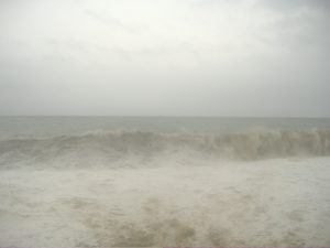 DSCF6667