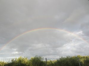 IMG_0711