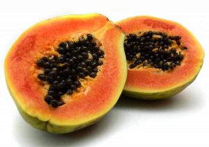 PAPAYA FERMENTATA