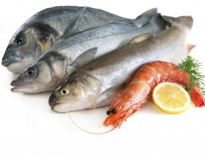 PESCE CERVELLO - Copia