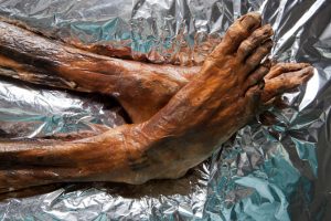 PIEDI OTZI - Copia