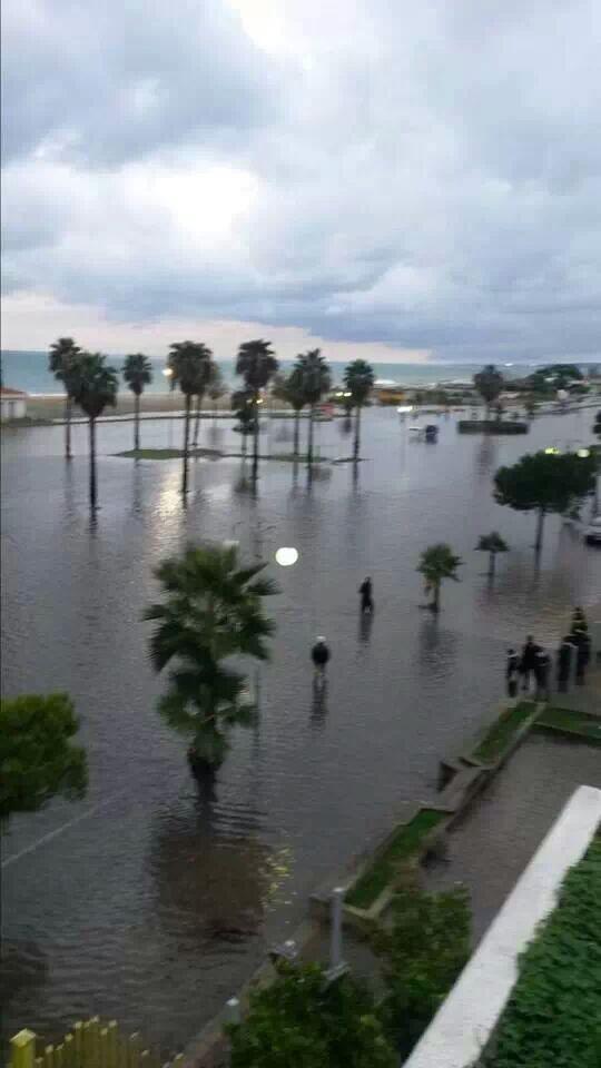 Schiavonea ieri