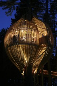 YELLOW TREE HOUSES RESTAURANT