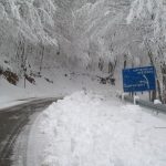 campostaffi1