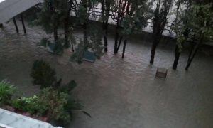 catanzaro01