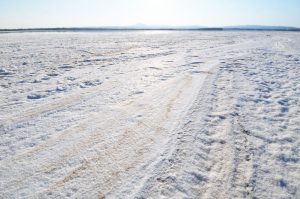 cyprus_larnaca_salt_lake_2