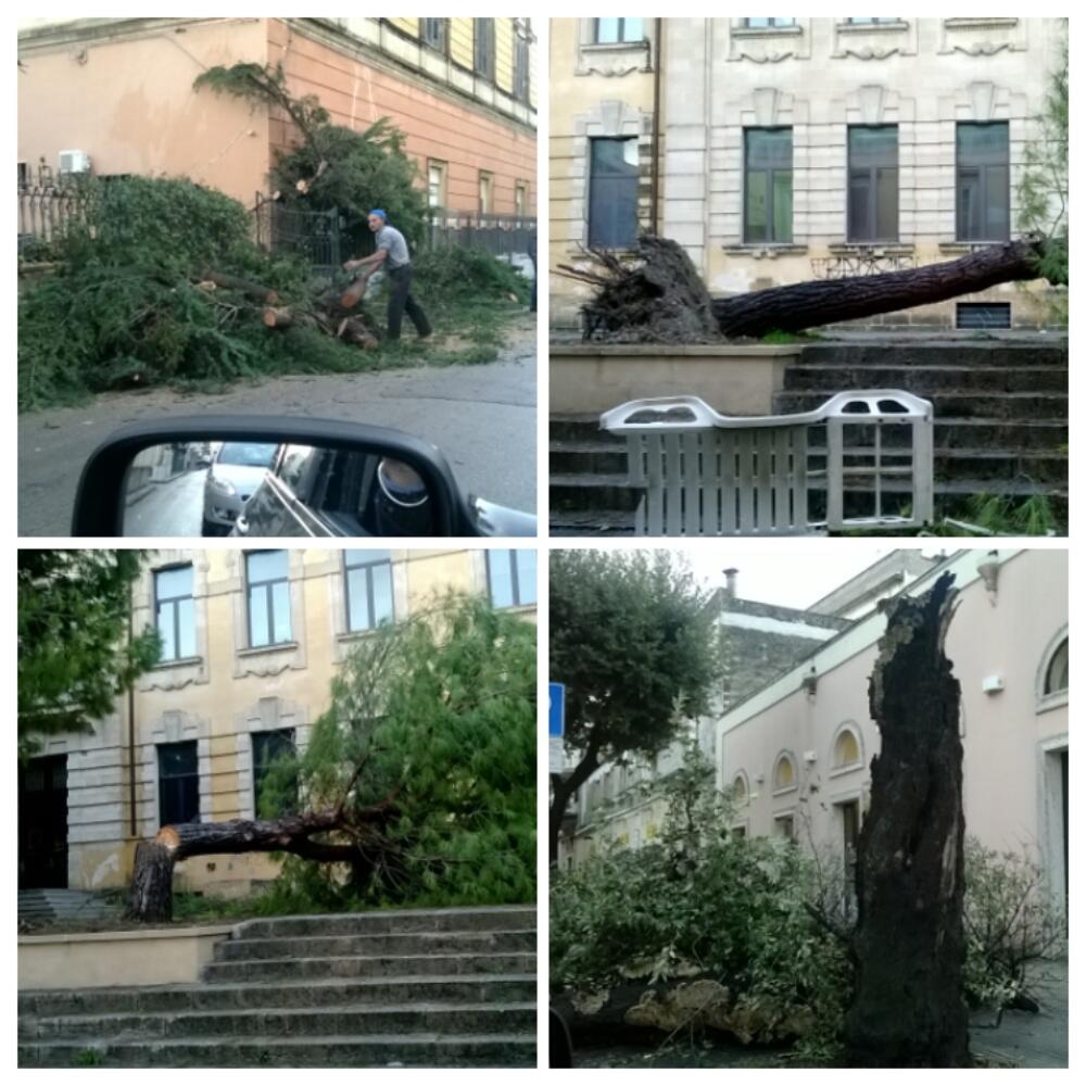 I danni del forte vento stamani a Nardò