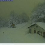 netcam