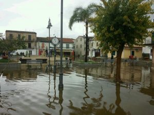 schiavonea