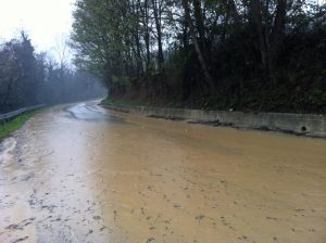 1465296_10201977622515497_782167563_n