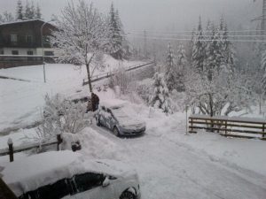 Cadore