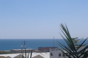 DSCF3818