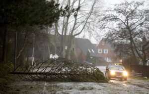 A car passes a fallen tree in the small village of Sankt Peter Ording at the North Sea