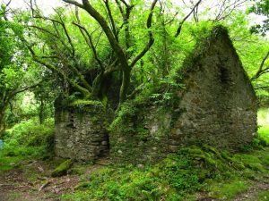 Kerry Way, Irlanda