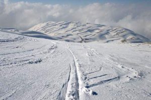 faraya-mzaar