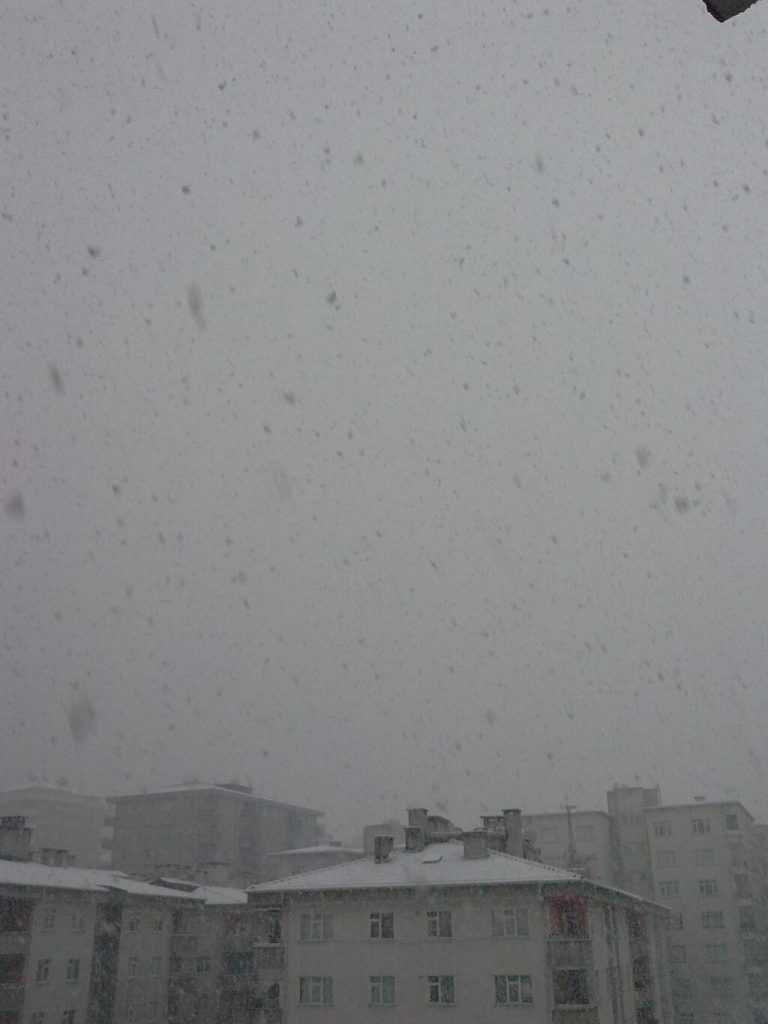 neve01