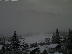 neve