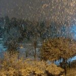 neve