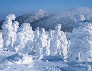 snowmonsters11