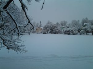 20140117_081533