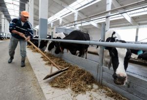 BELARUS-RUSSIA-MILK