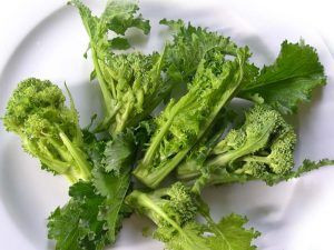 CIME RAPA - Copia