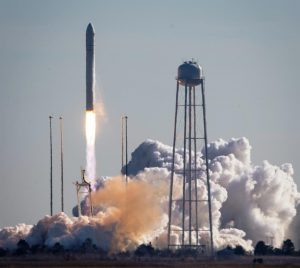 Cygnus