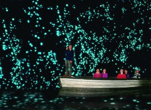 WAITOMO - Copia