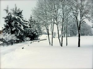 asiago 3