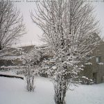 cam2