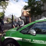 forestale