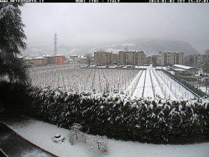 mobotix