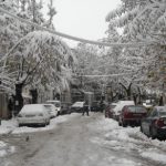 neve bulgaria