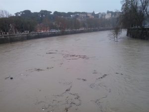 piena-tevere_31gen14 (8)