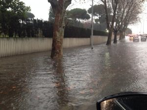 roma00