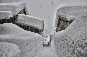 NEVE