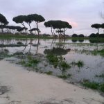 fiumicino