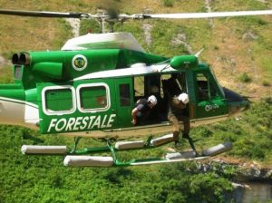 foresta_2