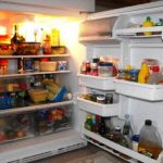 frigo
